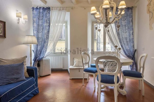 appartamento in affitto a Firenze in zona Centro San Frediano
