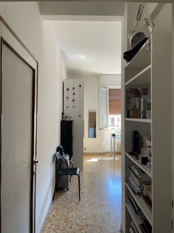 camera singola in affitto a Firenze