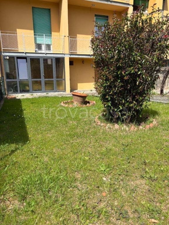 appartamento in affitto a Firenze