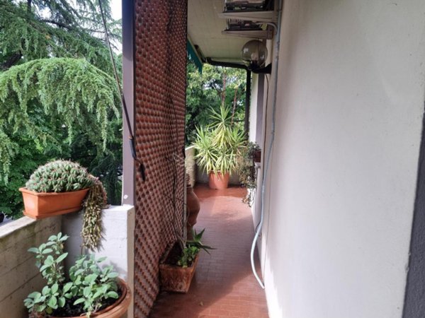 appartamento in affitto a Firenze in zona Galluzzo