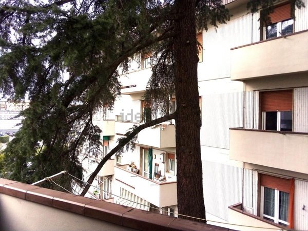 appartamento in affitto a Firenze in zona Coverciano