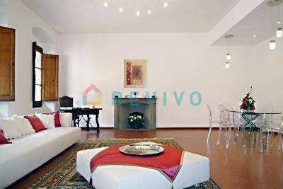 appartamento in affitto a Firenze in zona Centro San Frediano