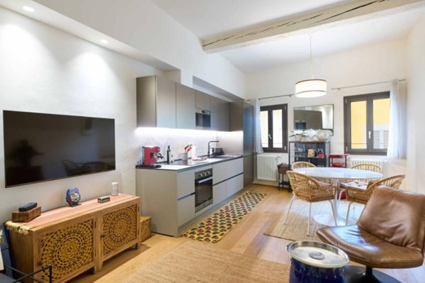appartamento in affitto a Firenze in zona Centro San Frediano