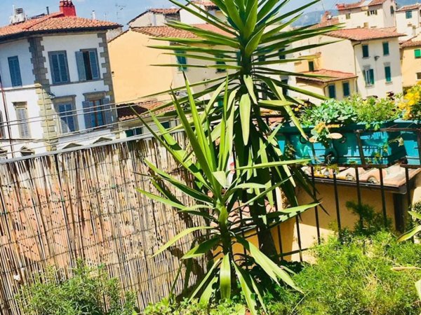 appartamento in affitto a Firenze
