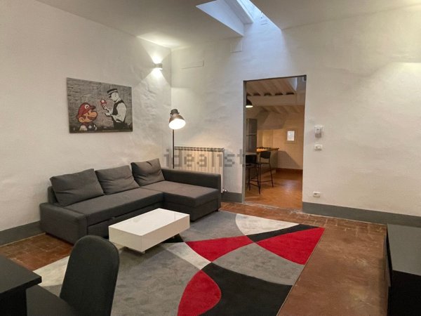 appartamento in affitto a Firenze in zona Centro San Frediano
