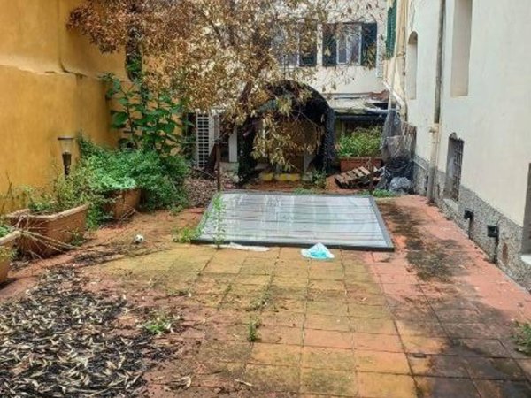 negozio in affitto a Firenze