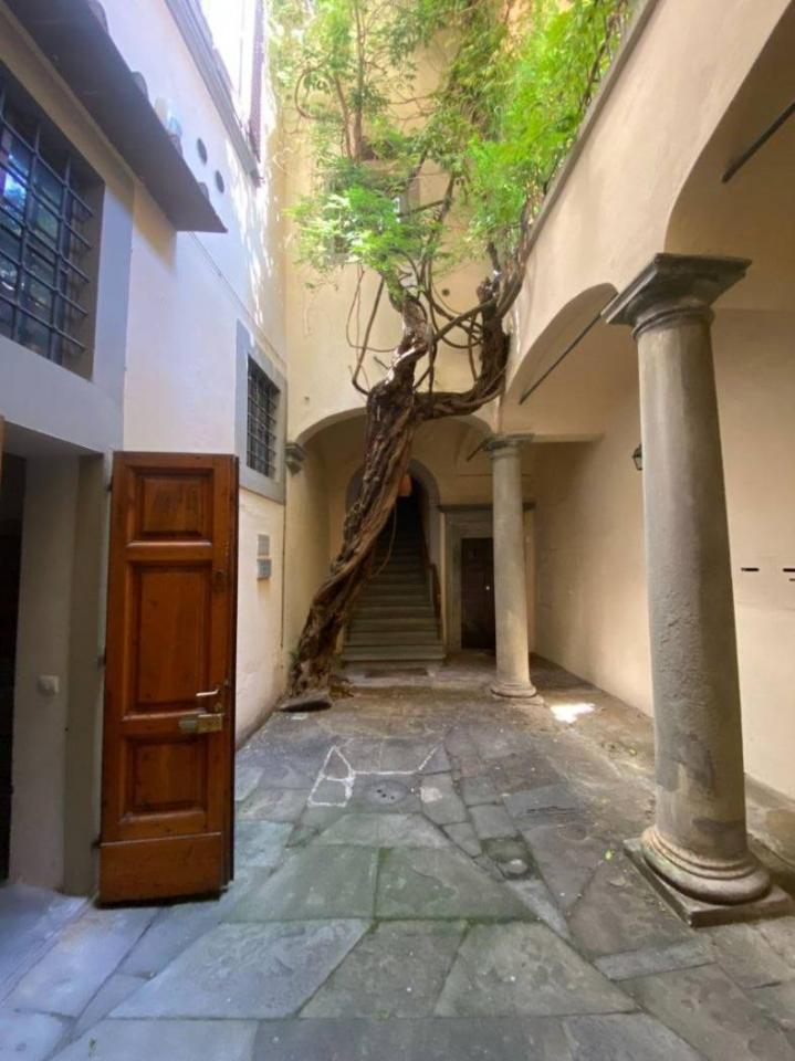 appartamento in affitto a Firenze in zona Centro Duomo