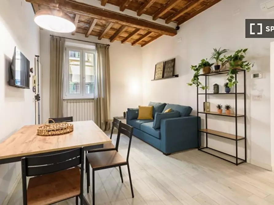 appartamento in affitto a Firenze in zona Centro San Frediano