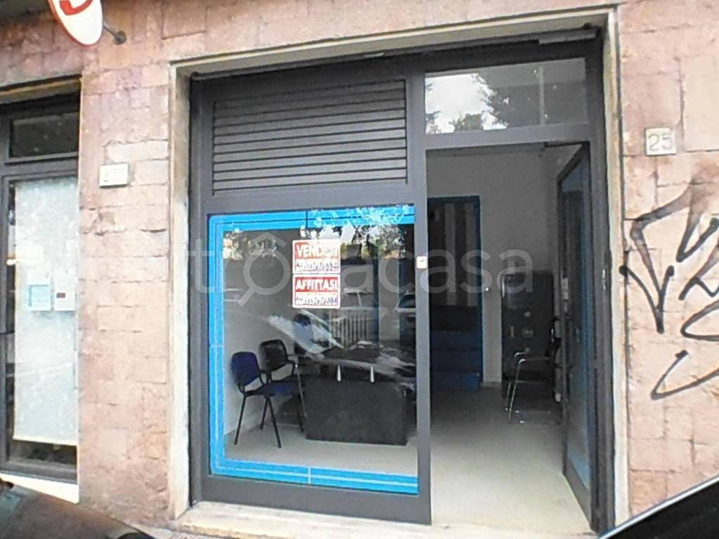 appartamento in affitto a Firenze in zona Campo di Marte