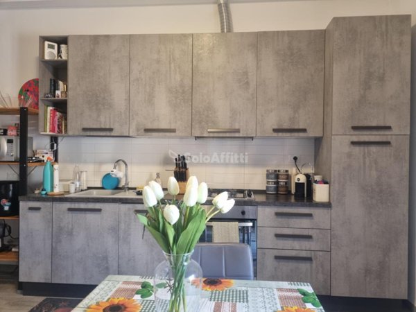 appartamento in affitto a Firenze in zona Isolotto