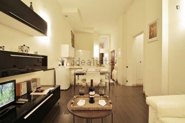 appartamento in affitto a Firenze in zona Centro Santa Croce