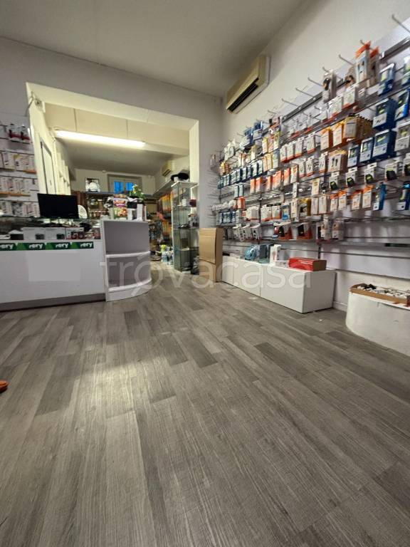 appartamento in affitto a Firenze in zona Isolotto