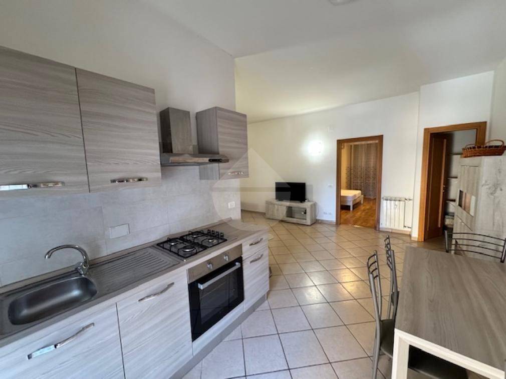 appartamento in affitto a Firenze