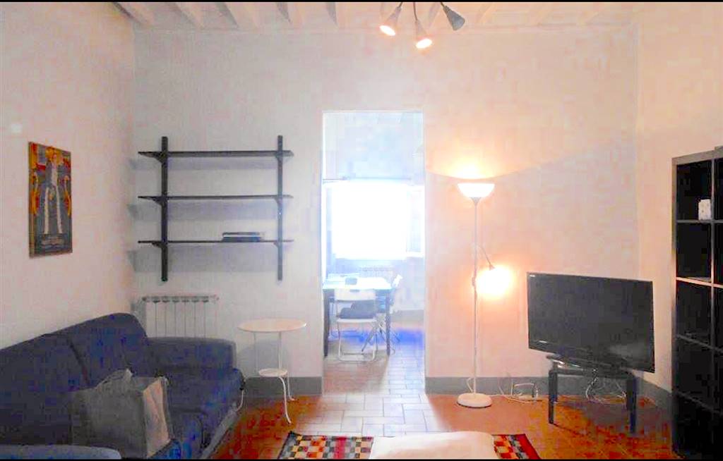 appartamento in affitto a Firenze in zona Centro San Frediano