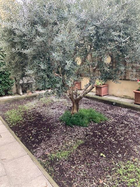 appartamento in affitto a Firenze in zona Statuto