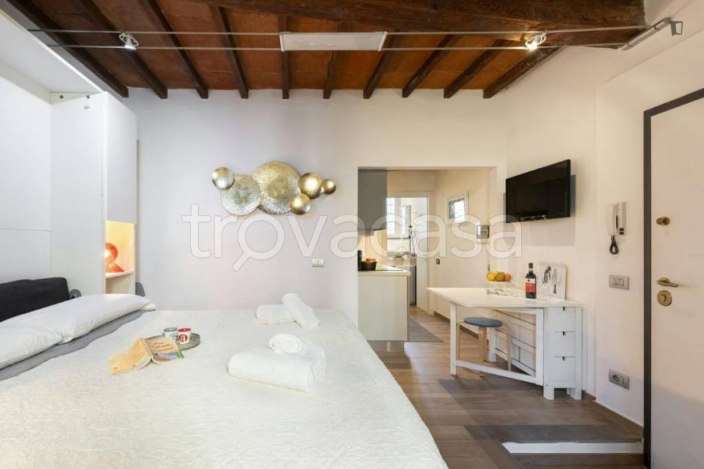 appartamento in affitto a Firenze in zona Centro San Frediano