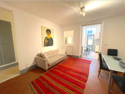 appartamento in affitto a Firenze in zona Centro San Frediano
