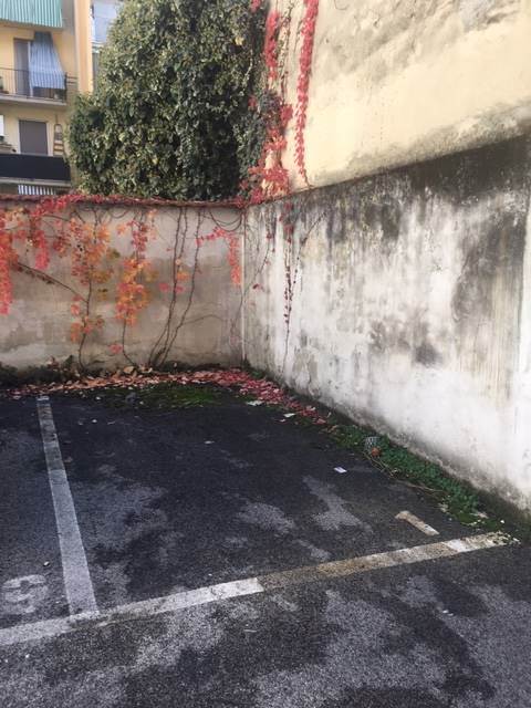 trivano in affitto a Firenze in zona Firenze Nova