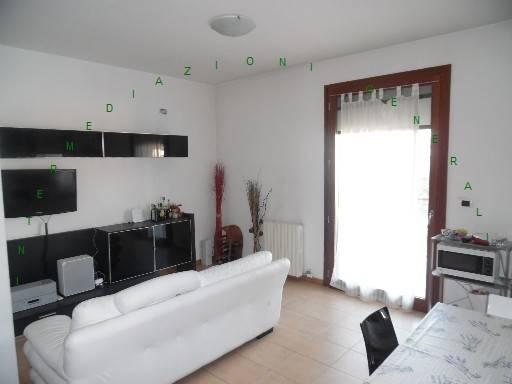 appartamento in affitto a Firenze in zona Novoli