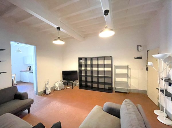 appartamento in affitto a Firenze in zona Centro San Frediano