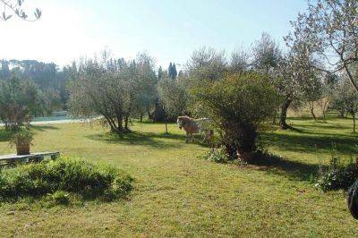 appartamento in affitto a Firenze in zona Le Cure