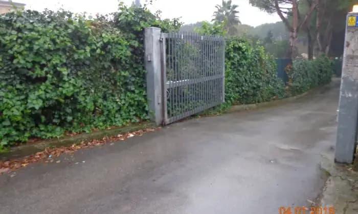 negozio in affitto a Firenze in zona Serpiolle