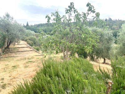 appartamento in affitto a Firenze in zona Settignano