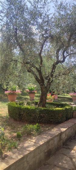 casa indipendente in affitto a Firenze in zona Centro Storico