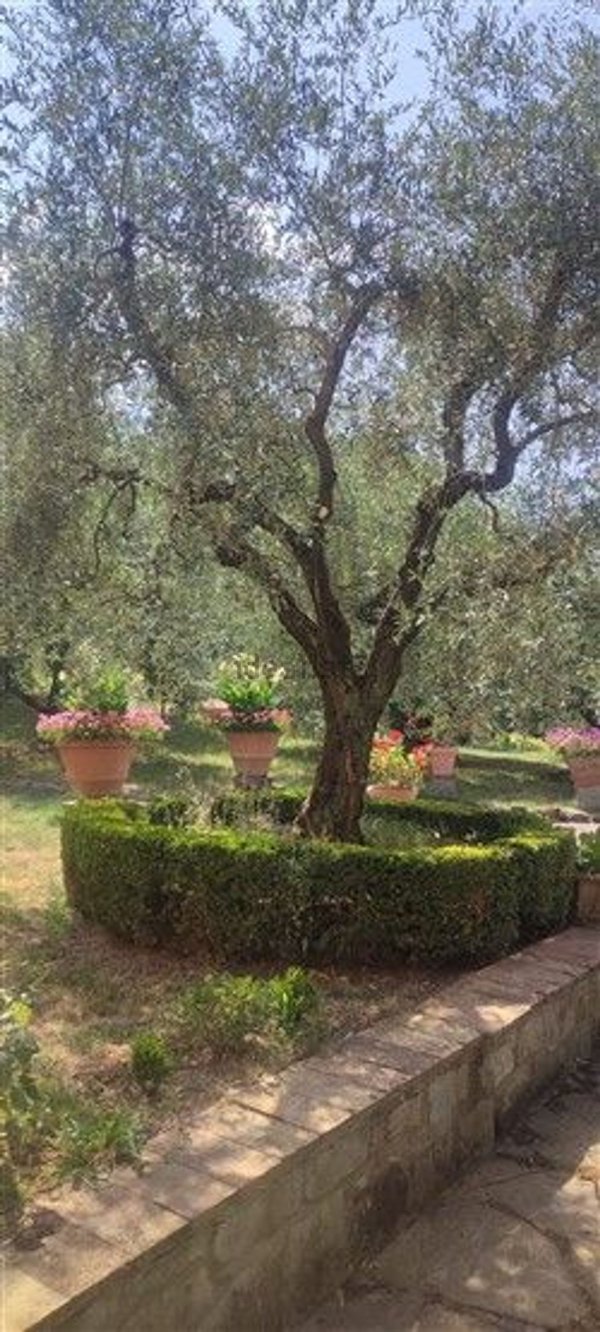 casa indipendente in affitto a Firenze in zona Ponte a Ema