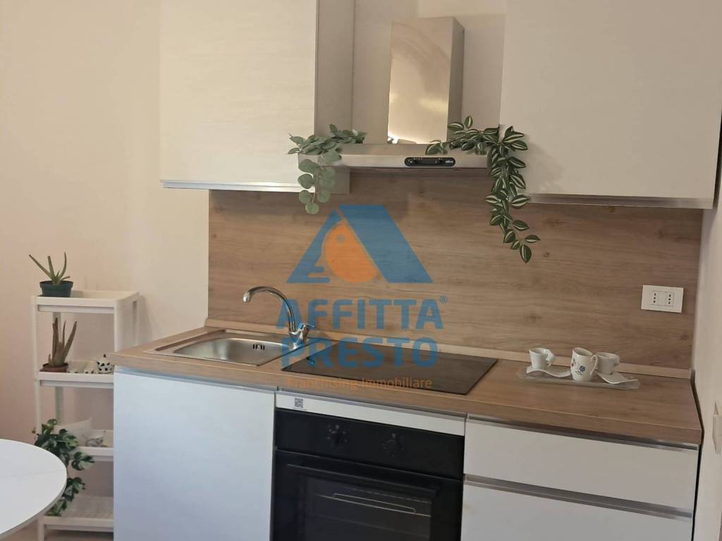 appartamento in affitto a Firenze in zona Centro San Frediano