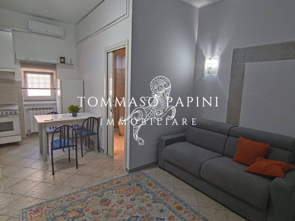 appartamento in affitto a Firenze