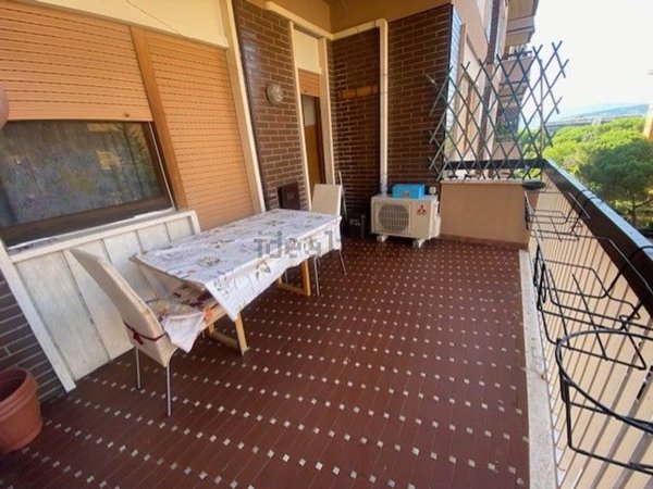 appartamento in affitto a Firenze in zona Firenze Nova