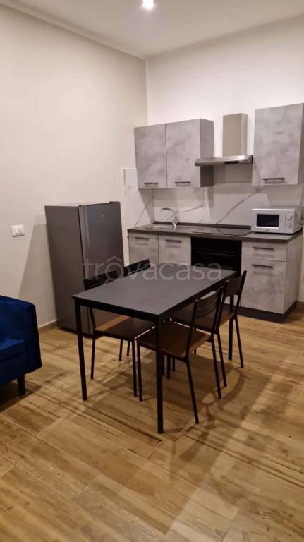 appartamento in affitto a Firenze in zona Centro San Frediano