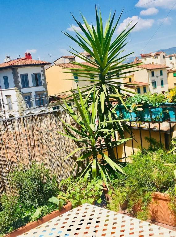 appartamento in affitto a Firenze in zona Centro Storico