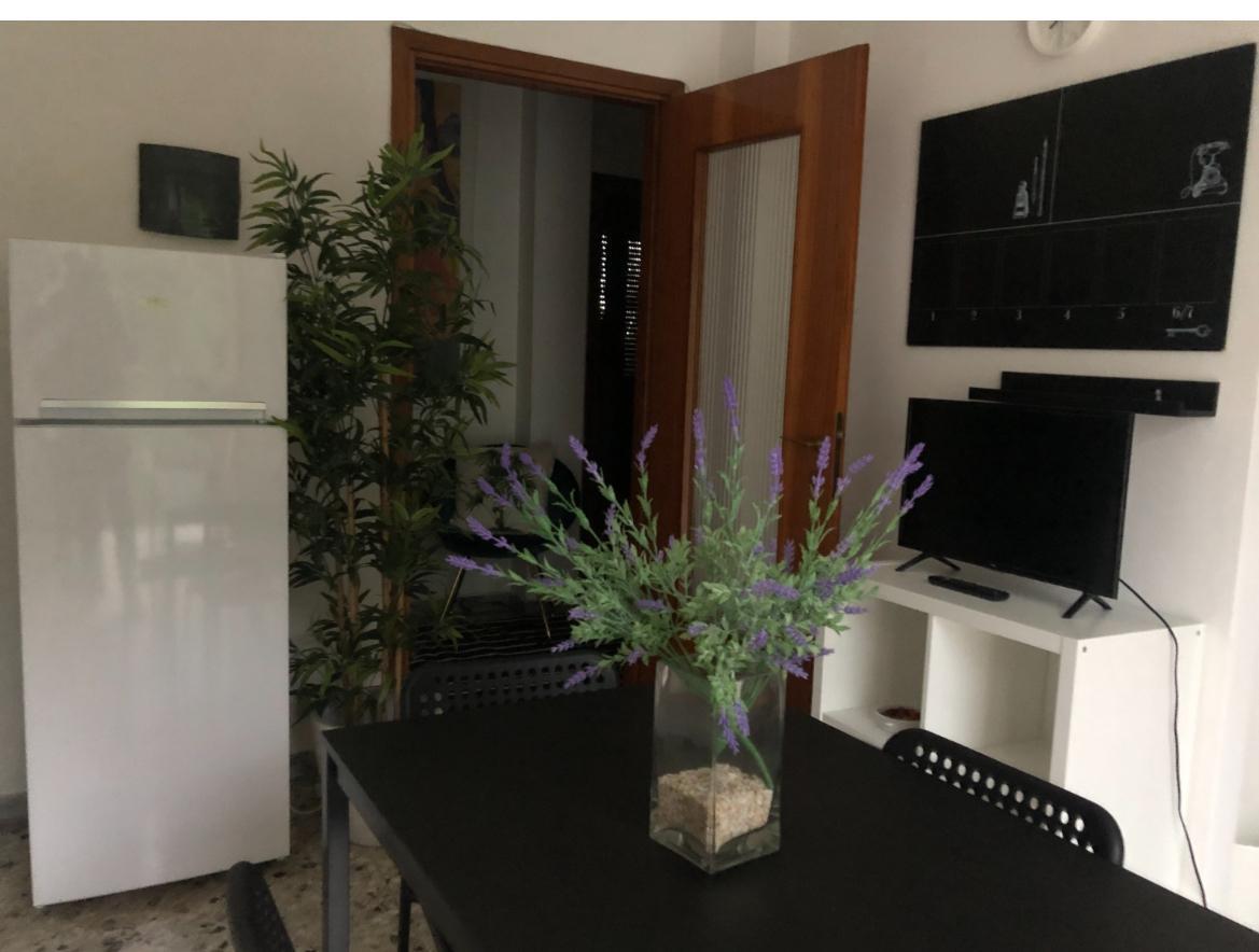 appartamento in affitto a Firenze in zona Novoli