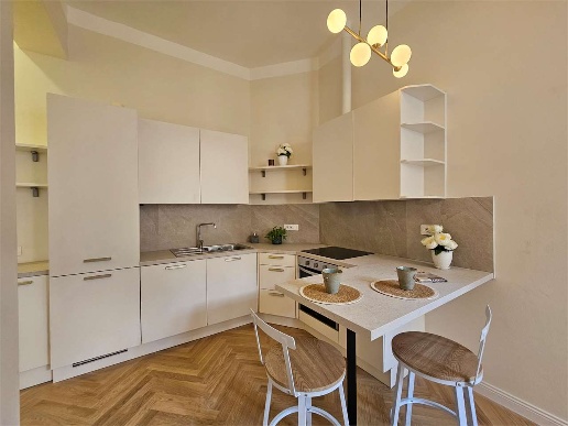 appartamento in affitto a Firenze in zona Centro San Frediano