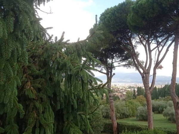 appartamento in affitto a Firenze in zona Bellosguardo