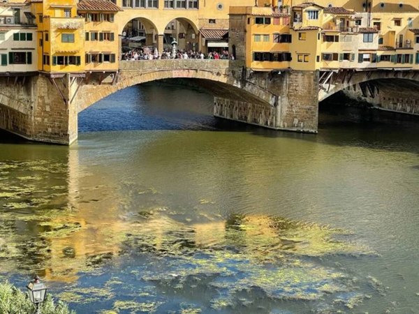 appartamento in affitto a Firenze in zona Centro San Frediano