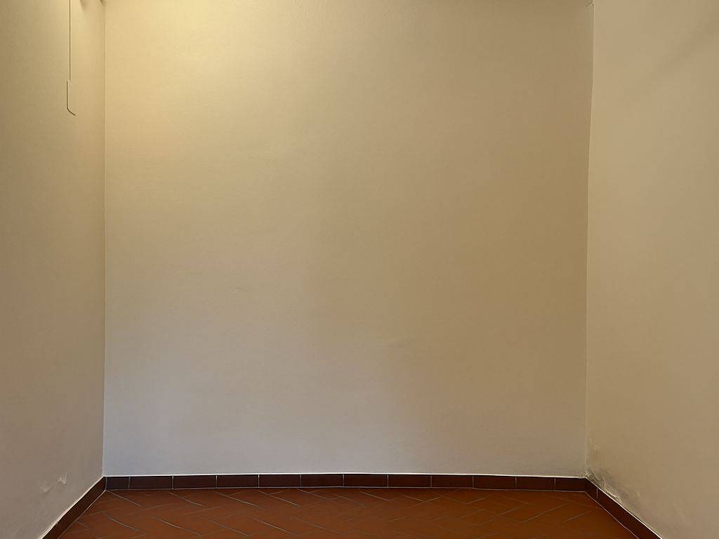 negozio in affitto a Firenze in zona Centro San Frediano