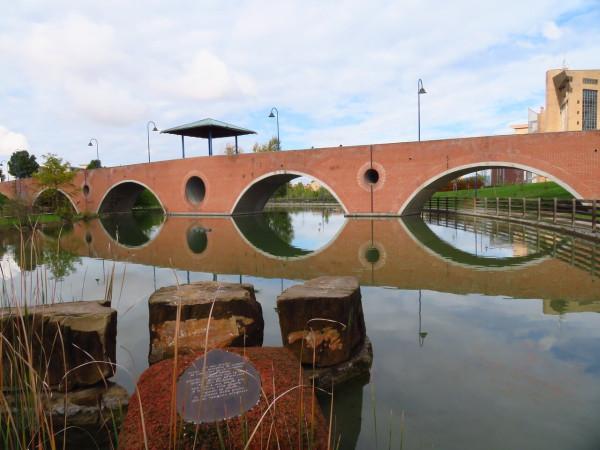 negozio in affitto a Firenze in zona Centro Storico