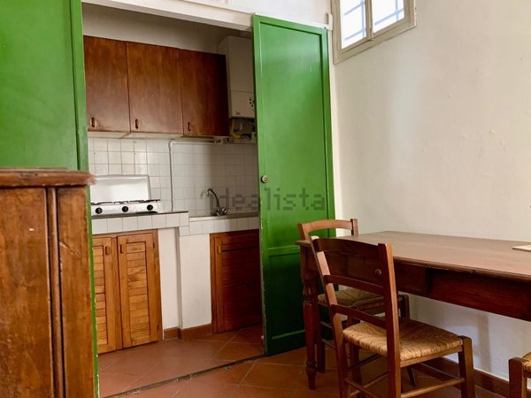appartamento in affitto a Firenze in zona Centro San Frediano