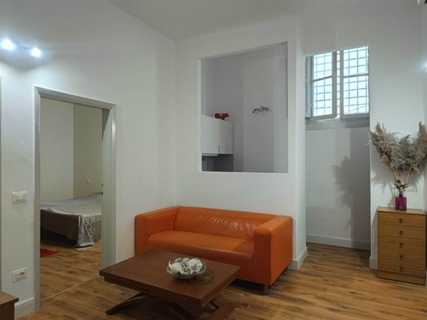 appartamento in affitto a Firenze in zona Centro San Frediano