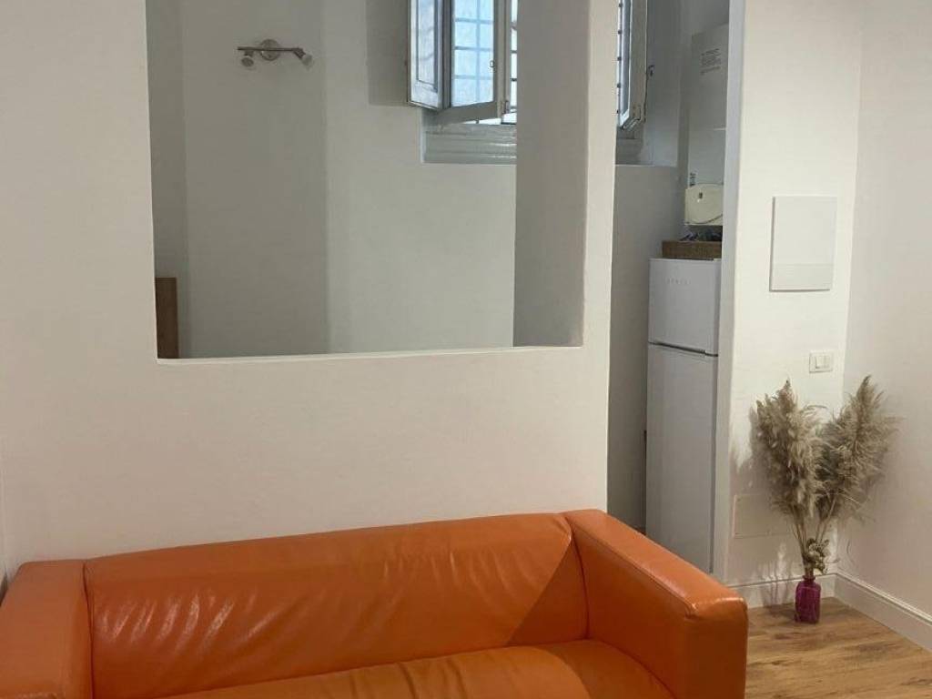 appartamento in affitto a Firenze in zona Porta Romana