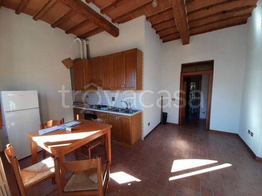 appartamento in affitto a Firenze