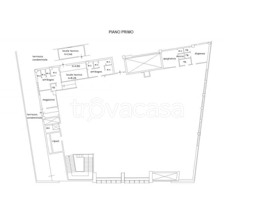 negozio in affitto a Firenze in zona Peretola