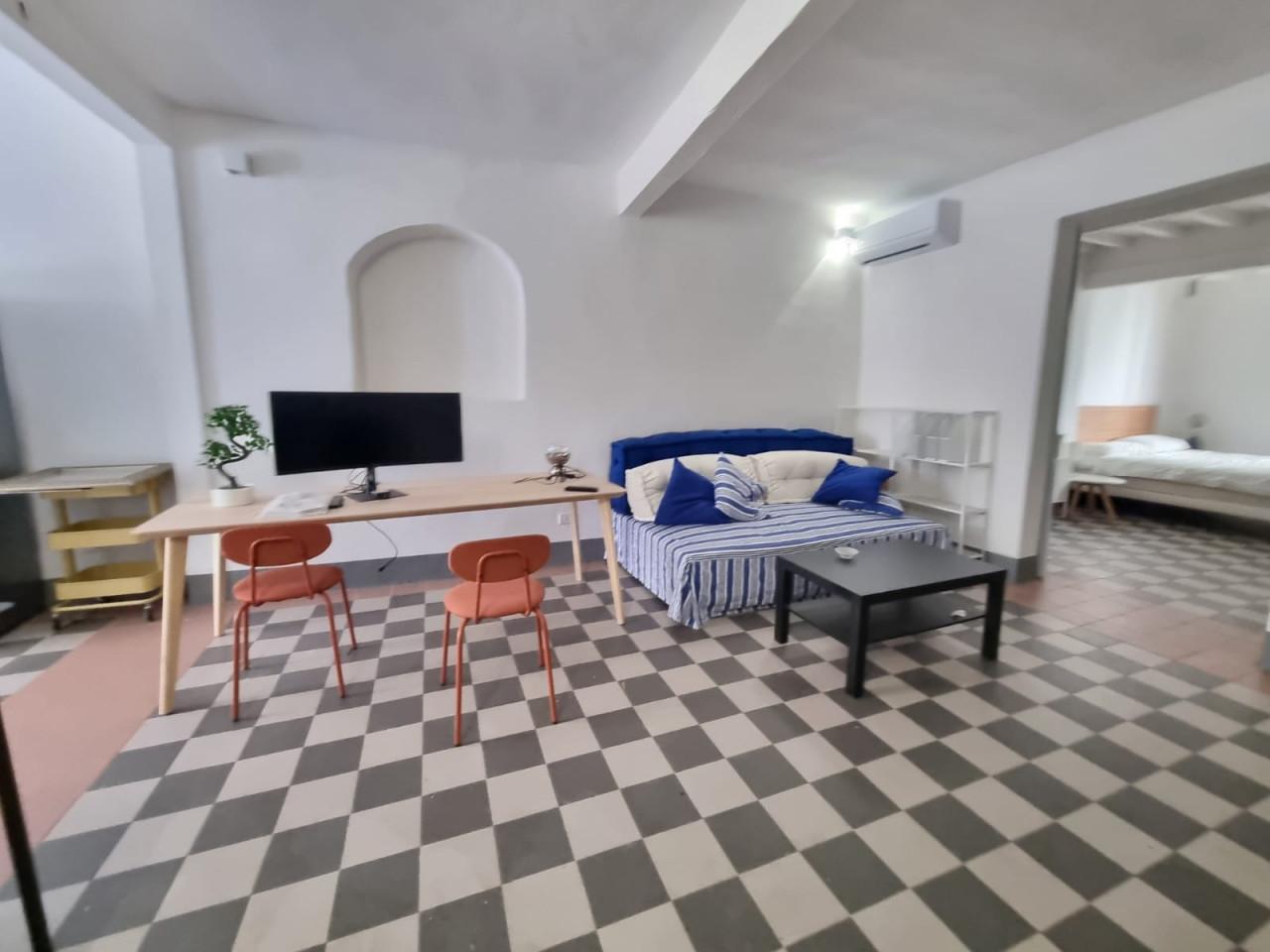 appartamento in affitto a Firenze in zona Centro San Frediano