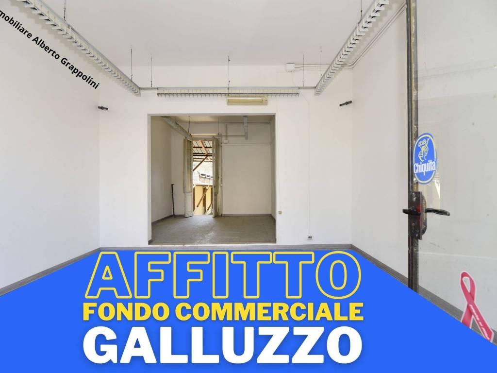negozio in affitto a Firenze in zona Galluzzo