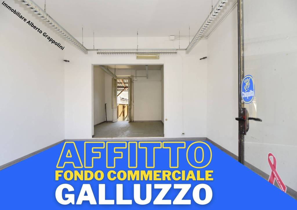 negozio in affitto a Firenze in zona Galluzzo