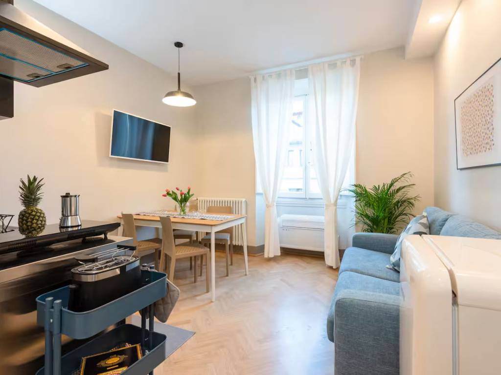 appartamento in affitto a Firenze in zona Centro San Frediano