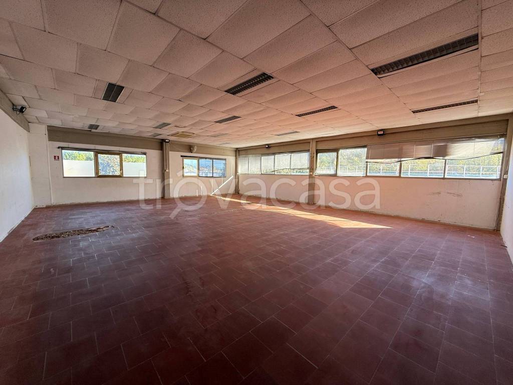 ufficio in affitto a Firenze